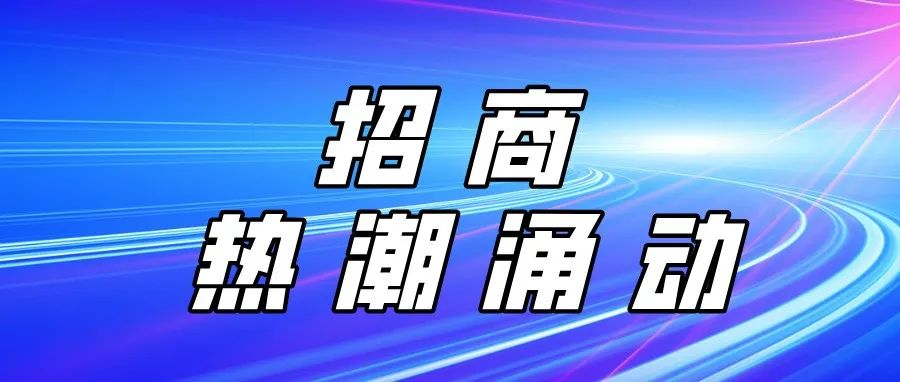 2026印度孟买线材线缆展览会（Wire India 2026）
