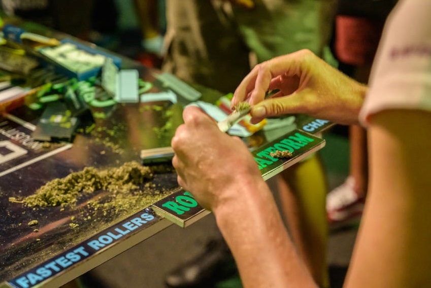 2025南非约翰内斯堡大麻展览会（The Cannabis Expo 2025）