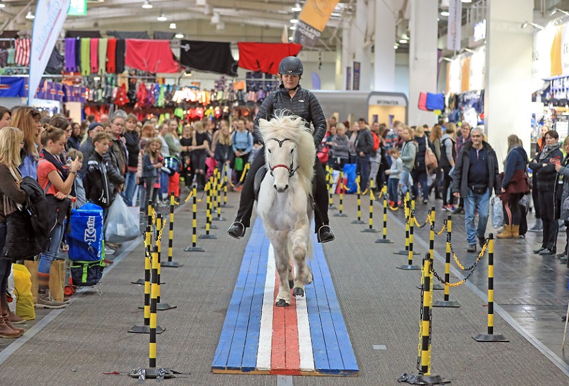 2025德国汉诺威马术、狩猎、枪械展览会（PASSION PFERD 2025）