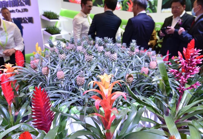 2025（Hortiflorexpo IPM Shanghai 2025）