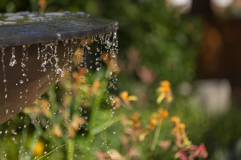 2025澳洲澳大利亚墨尔本花卉园林展览会（Melbflowershow 2025）