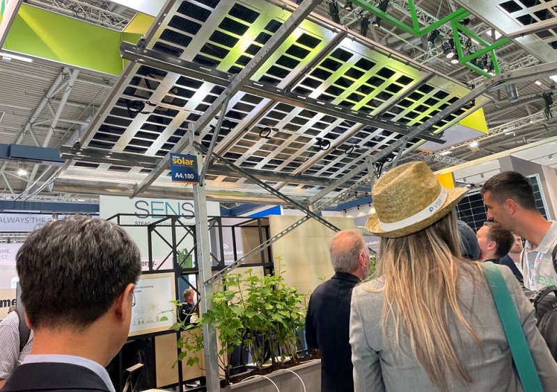 2025德国杜塞尔多夫太阳能展览会（Solar Solutions Dusseldorf 2025）