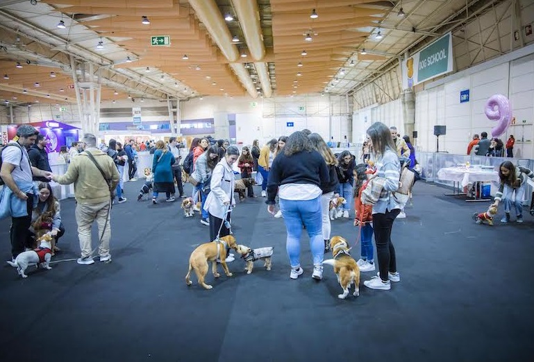 2025葡萄牙里斯本宠物用品展览会（Pet Festival 2025）