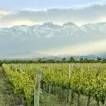 2025韩国昌原制造自动化技术展览会（KOFAS 2025）